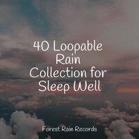 40 Loopable Rain Collection for Sleep Well
