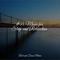 #35 Music for Sleep and Relaxation
