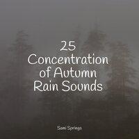 25 Concentration of Autumn Rain Sounds