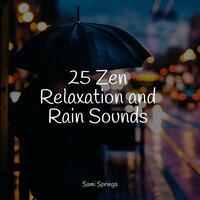 25 Zen Relaxation and Rain Sounds