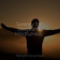 Serenity for Sleep and Mindfulness