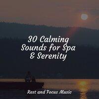 30 Calming Sounds for Spa & Serenity