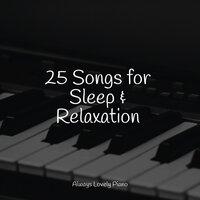 25 Songs for Sleep & Relaxation