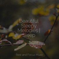 Beautiful Sleepy Melodies | Sleep