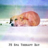 75 Spa Therapy Day