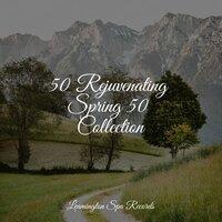 50 Rejuvenating Spring 50 Collection