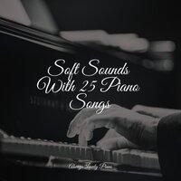 Soft Sounds With 25 Piano Songs