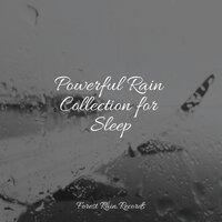 Powerful Rain Collection for Sleep