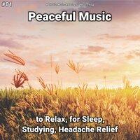 #01 Peaceful Music to Relax, for Sleep, Studying, Headache Relief
