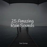 25 Amazing Rain Sounds