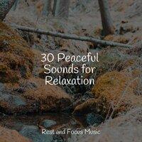 30 Peaceful Sounds for Relaxation