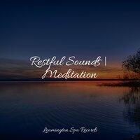 Restful Sounds | Meditation