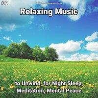 #01 Relaxing Music to Unwind, for Night Sleep, Meditation, Mental Peace