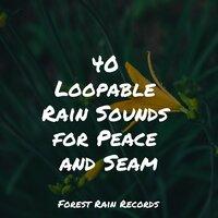 40 Loopable Rain Sounds for Peace and Seam