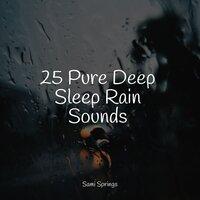 25 Pure Deep Sleep Rain Sounds