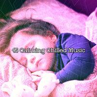 45 Calming Chilled Music