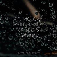 35 Mellow Rain Tracks for Spa & Serenity