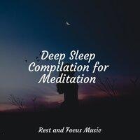 Deep Sleep Compilation for Meditation