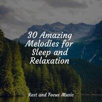 30 Amazing Melodies for Sleep and Relaxation