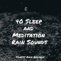 40 Sleep and Meditation Rain Sounds