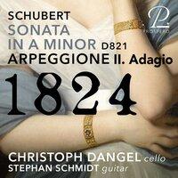 Arpeggione Sonata, D. 821: II. Adagio (Arr. for Cello and Guitar by Stephan Schmidt)