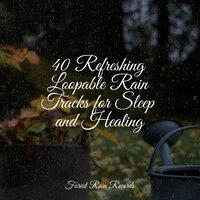 40 Refreshing Loopable Rain Tracks for Sleep and Healing
