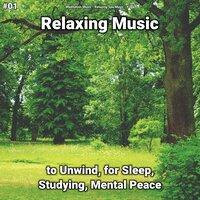 #01 Relaxing Music to Unwind, for Sleep, Studying, Mental Peace