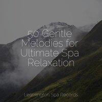 50 Gentle Melodies for Ultimate Spa Relaxation