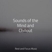 Sounds of the Mind and Chillout
