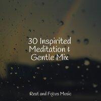 30 Inspirited Meditation & Gentle Mix