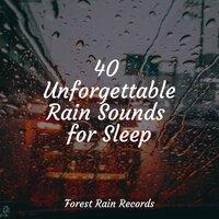 40 Unforgettable Rain Sounds for Sleep