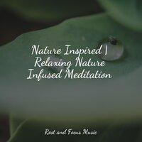 Nature Inspired | Relaxing Nature Infused Meditation