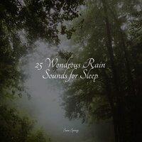 25 Wondrous Rain Sounds for Sleep