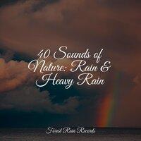 40 Sounds of Nature: Rain & Heavy Rain