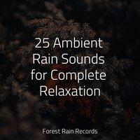 25 Ambient Rain Sounds for Complete Relaxation