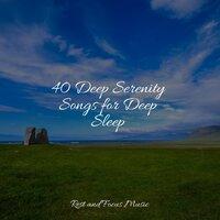 40 Deep Serenity Songs for Deep Sleep