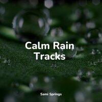 Calm Rain Tracks