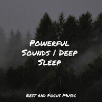Powerful Sounds | Deep Sleep