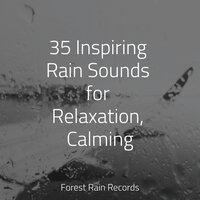 35 Inspiring Rain Sounds for Relaxation, Calming