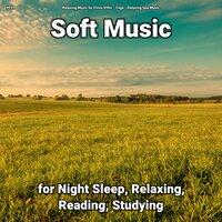 #01 Soft Music for Night Sleep, Relaxing, Reading, Studying