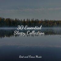 30 Essential Sleepy Collection