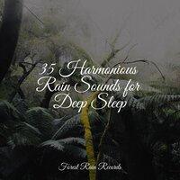 35 Harmonious Rain Sounds for Deep Sleep