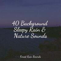 40 Background Sleepy Rain & Nature Sounds
