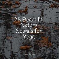 25 Beautiful Nature Sounds for Yoga