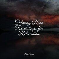 Calming Rain Recordings for Relaxation