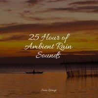 25 Hour of Ambient Rain Sounds