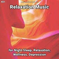#01 Relaxation Music for Night Sleep, Relaxation, Wellness, Depression