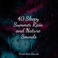 40 Sleepy Summer Rain and Nature Sounds