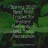 Spring 2021: Best Rain Tracks for Instant Relaxation and Total Relaxation