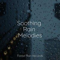 Soothing Rain Melodies